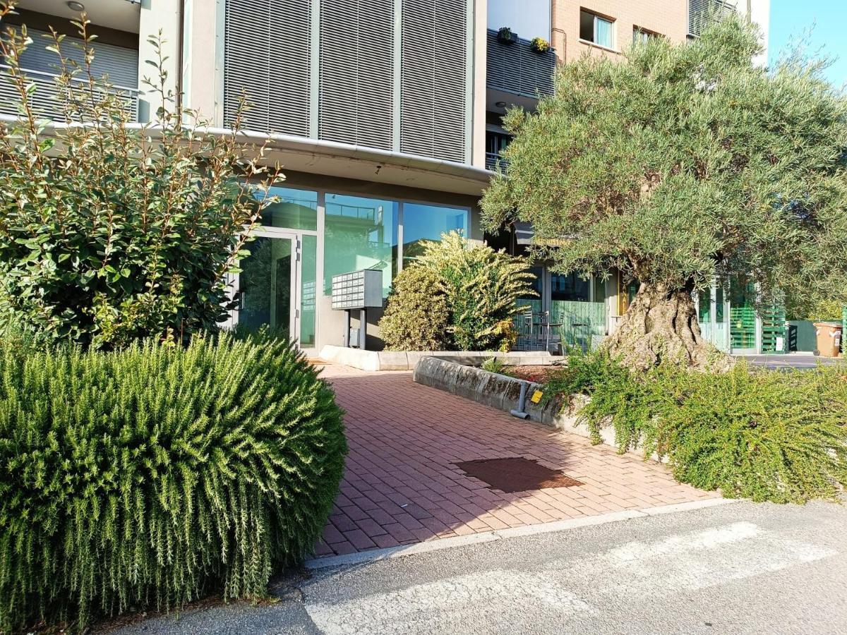 San Carlo House Apartment *